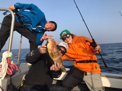 アオハタの釣果