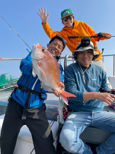 マダイの釣果