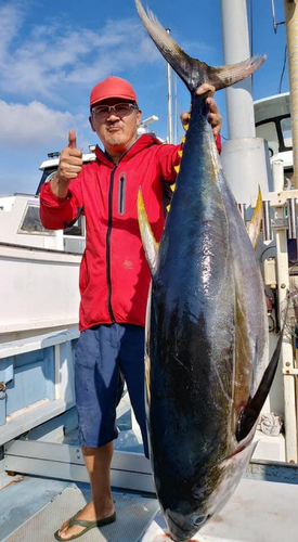 キハダマグロの釣果