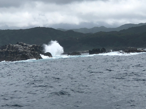 ガシラの釣果