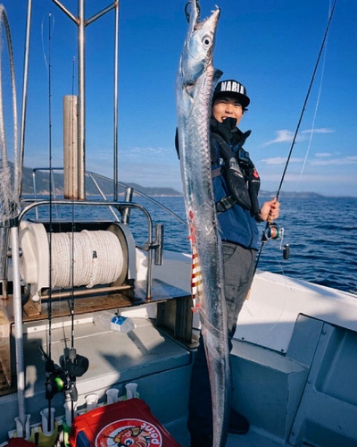 タチウオの釣果