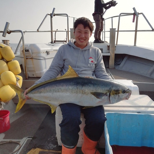 ヒラマサの釣果