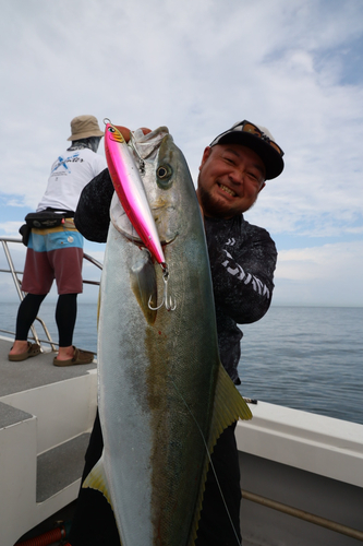 ヒラマサの釣果