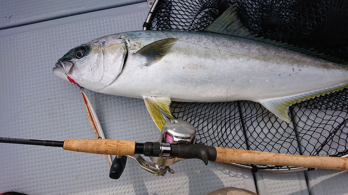 リアルさんの釣果 2枚目の画像