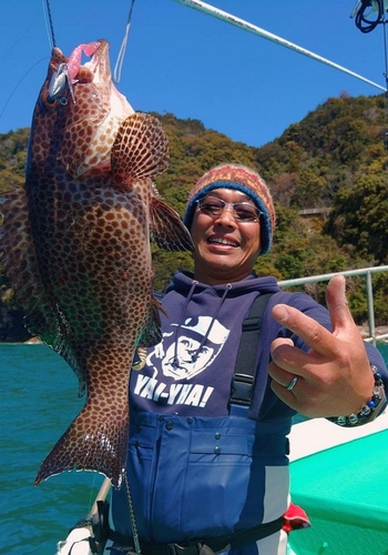 オオモンハタの釣果