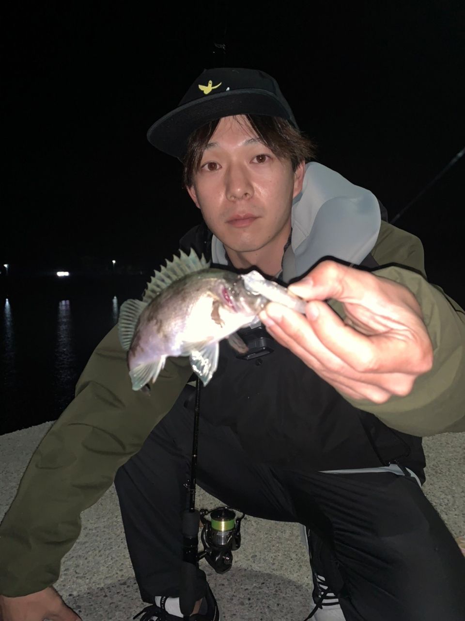 メバル