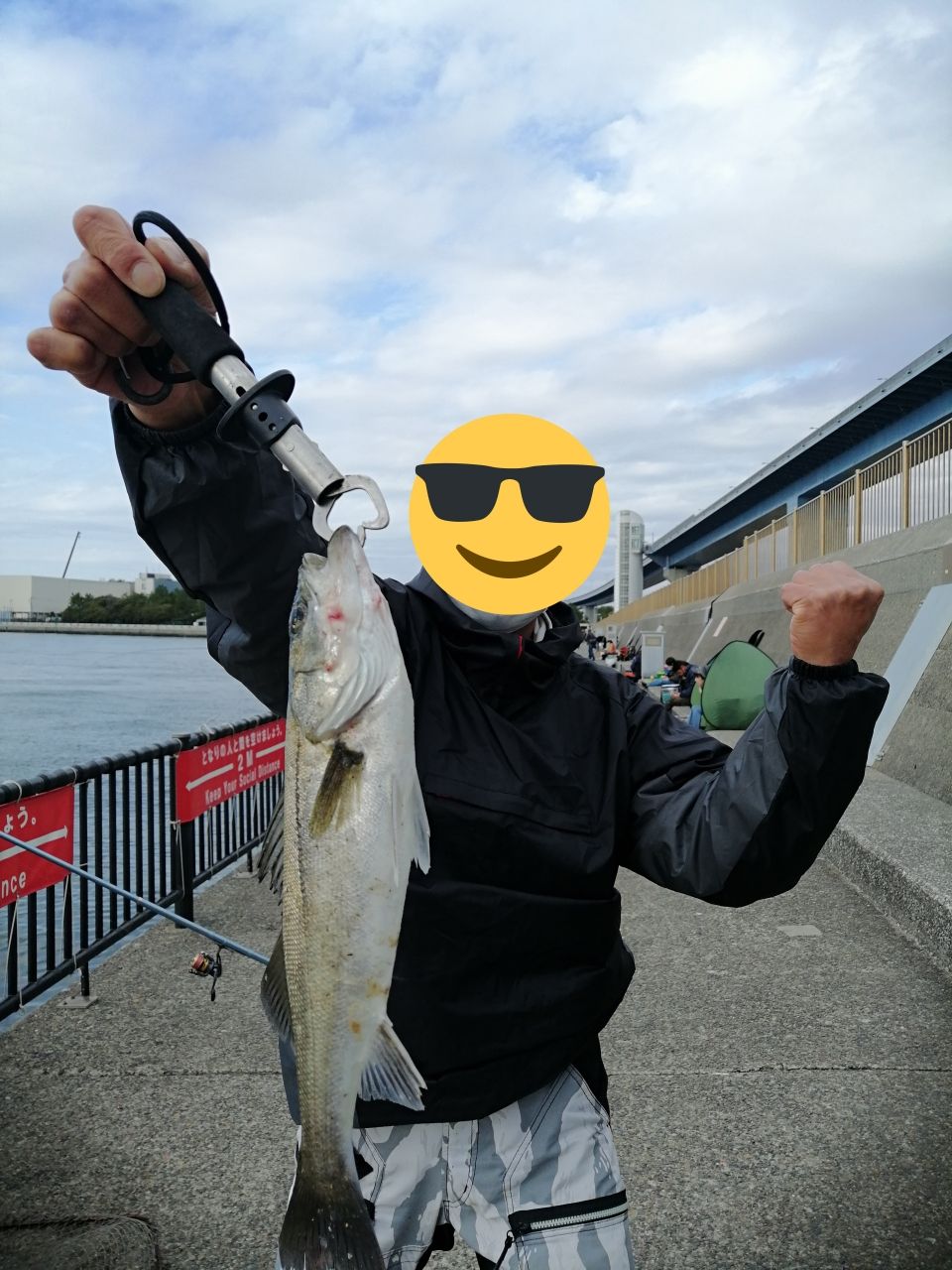 セイゴ（ヒラスズキ）