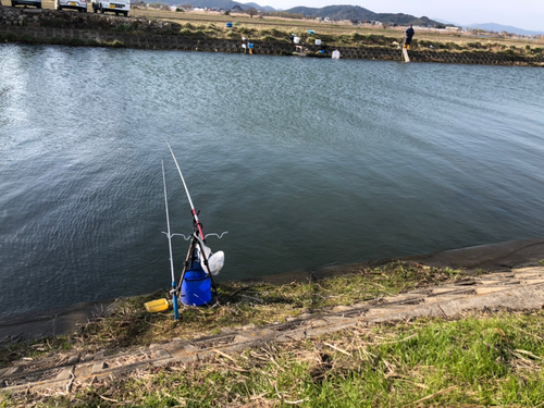 ホンモロコの釣果