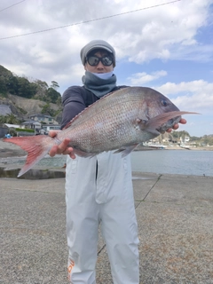 タイの釣果