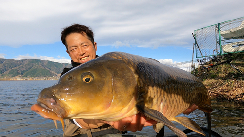 コイの釣果