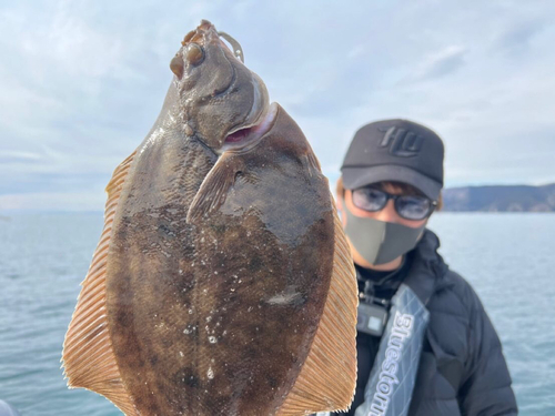 マコガレイの釣果