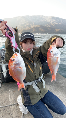 レンコダイの釣果