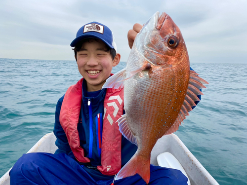 マダイの釣果