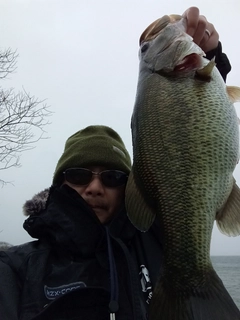 ブラックバスの釣果