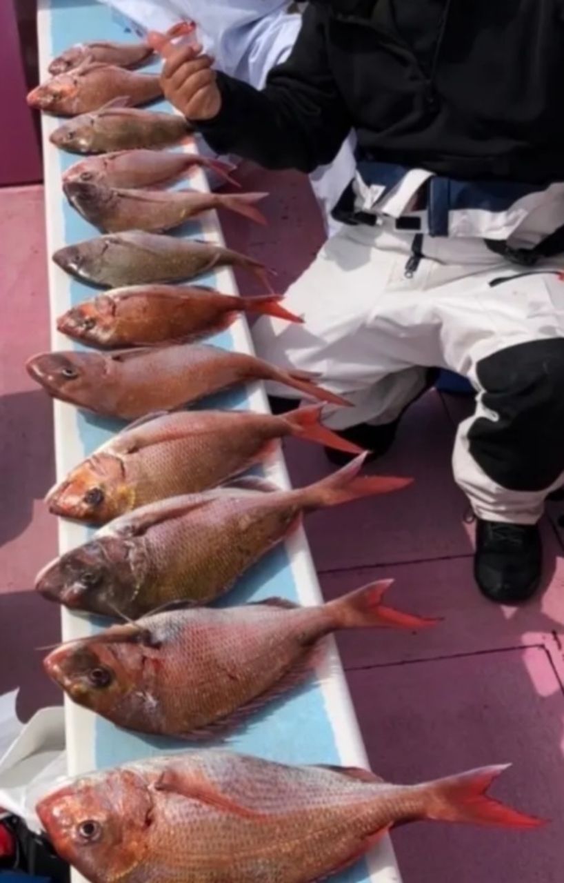 たかまらんさんの釣果 2枚目の画像