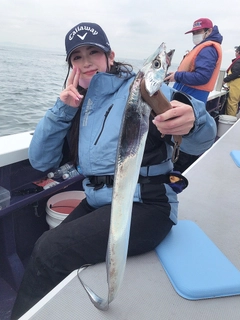 タチウオの釣果