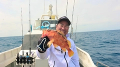 ウッカリカサゴの釣果