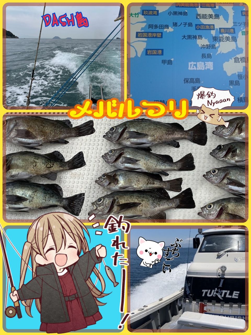 sasimiさんの釣果 1枚目の画像