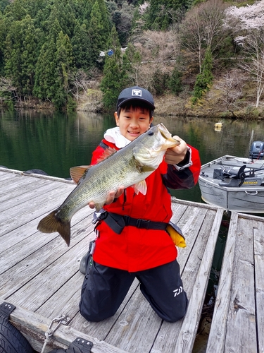 ブラックバスの釣果