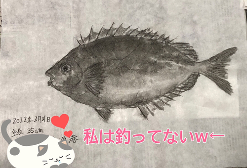 エーグヮーの釣果