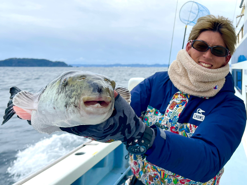 トラフグの釣果