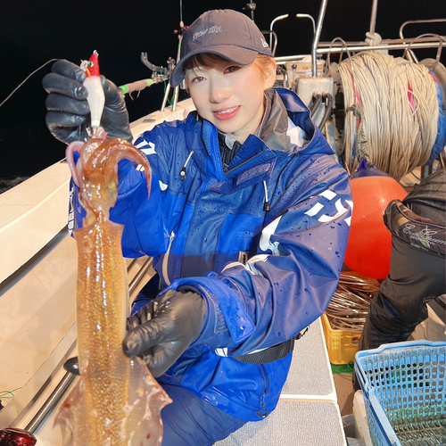 ヤリイカの釣果