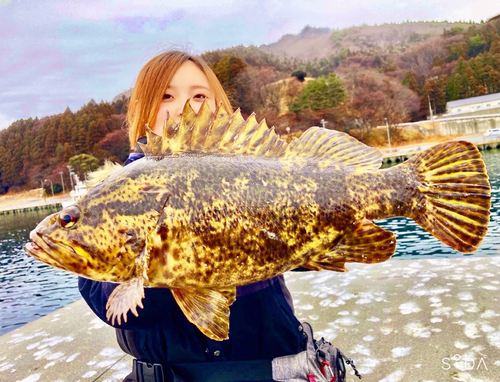 ベッコウゾイの釣果