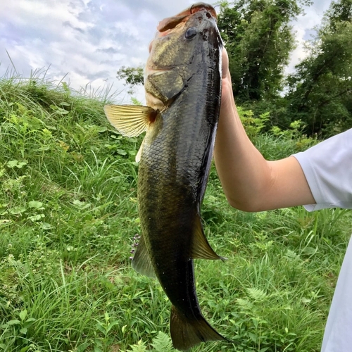 釣果