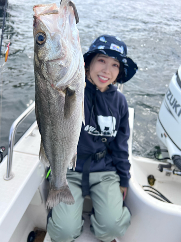 スズキの釣果