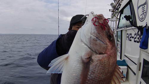 マダイの釣果