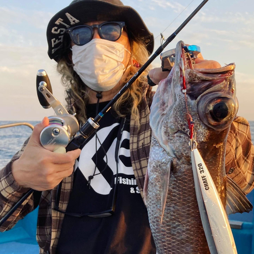 クロムツの釣果