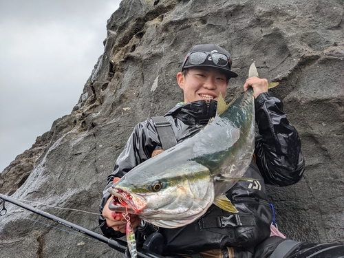 ブリの釣果