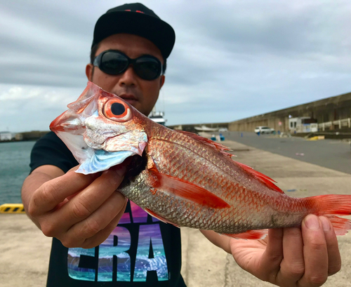 アカムツの釣果