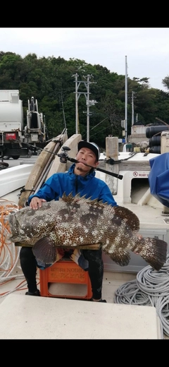 ヤイトハタの釣果