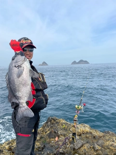 イシダイの釣果