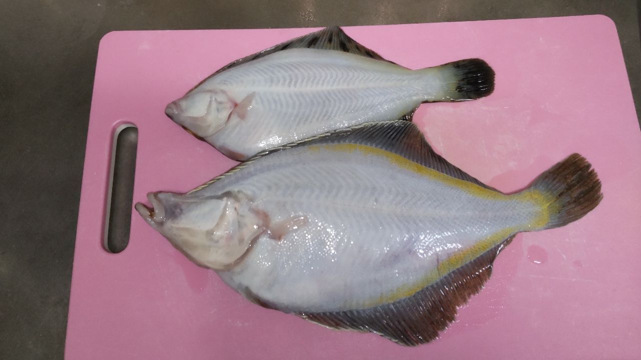 SHIMANO サーフランダー〈振出〉 405EX-Tの最安値・インプレ・釣果