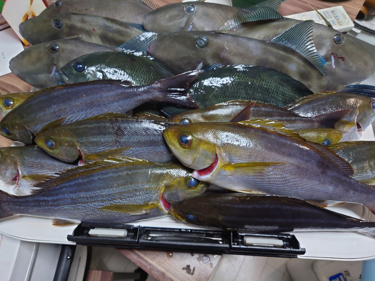 釣り好きの　ひろさんの釣果 1枚目の画像