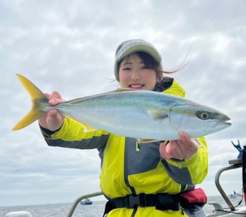 イナダの釣果