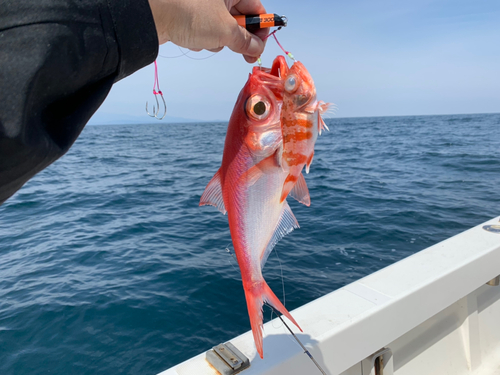 キンメダイの釣果