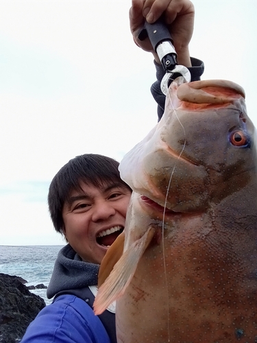 スジアラの釣果