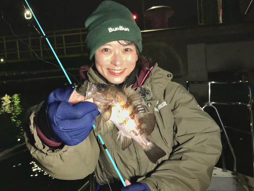 メバルの釣果