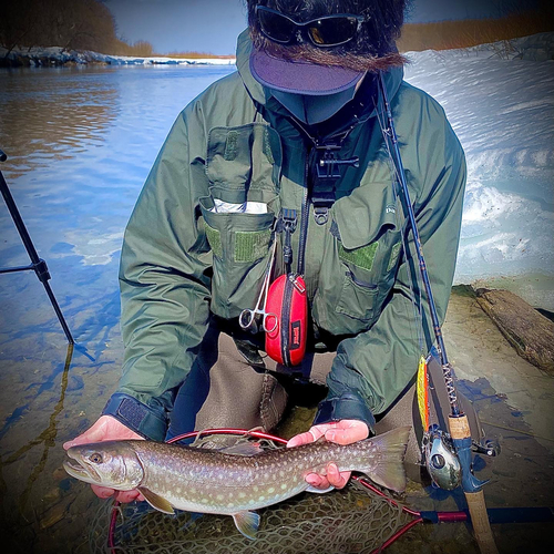 アメマスの釣果