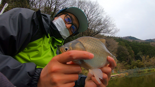 ヘラブナの釣果