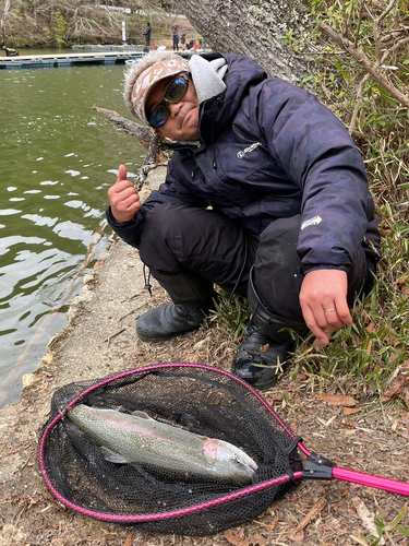 レインボートラウトの釣果