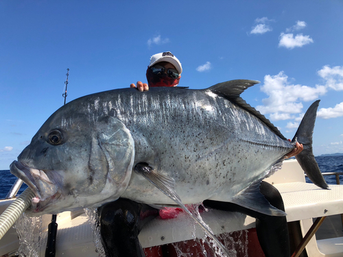 GTの釣果