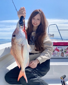 アコウの釣果