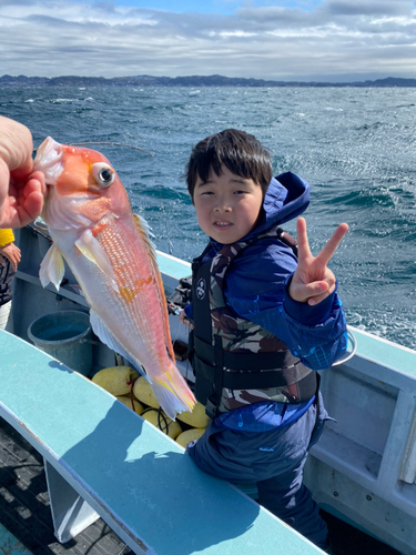 アマダイの釣果