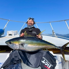 キハダマグロの釣果