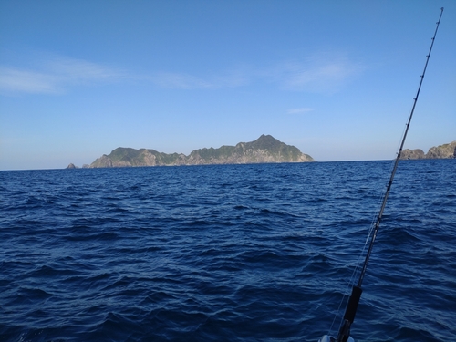 カンパチの釣果