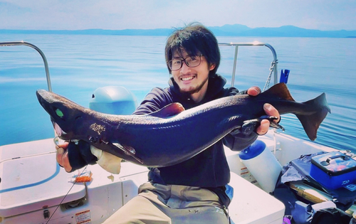 ユメザメの釣果